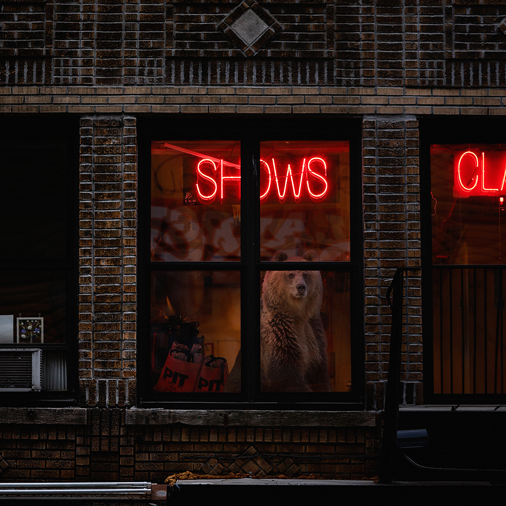 lost40