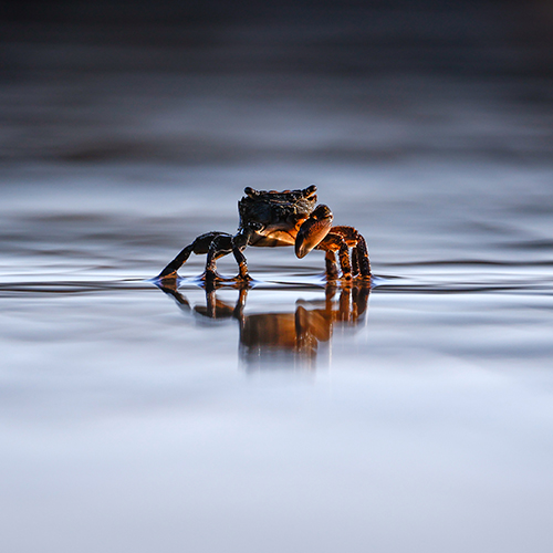 simplyphotos47