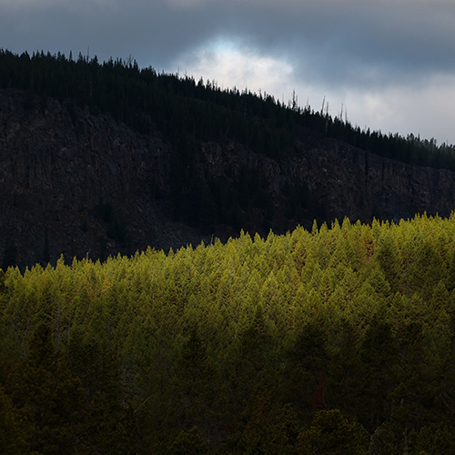 simplyphotos49