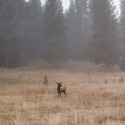 simplyphotos52